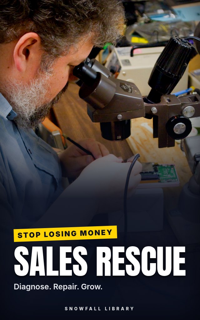 Sales Rescue: Find Out Why Your Online Store Isn't Selling and Fix It cover