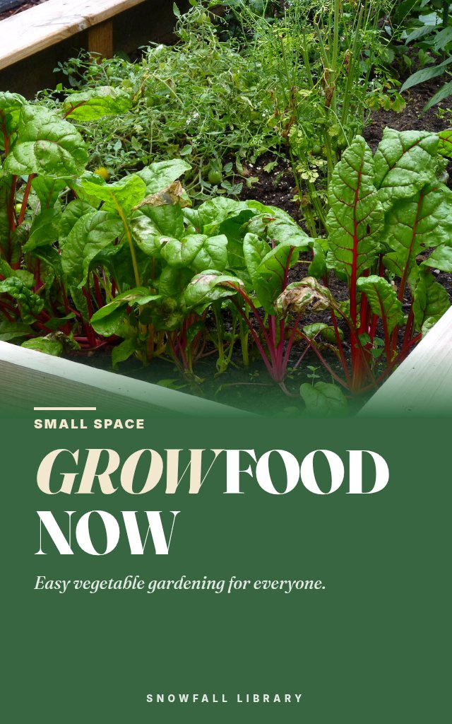 Grow Food Now: Vegetables in Pots, Raised Beds and Sunny Windows cover