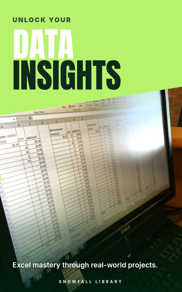 Excel Data Insights: Learn Analysis by Working Through Real Projects cover